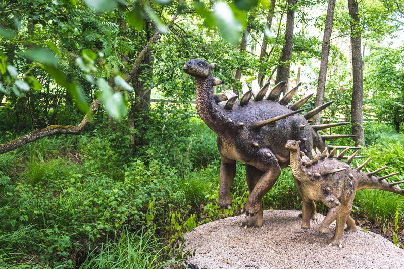 Park Dinozaurów - Przygoda Każdego Małego Odkrywcy